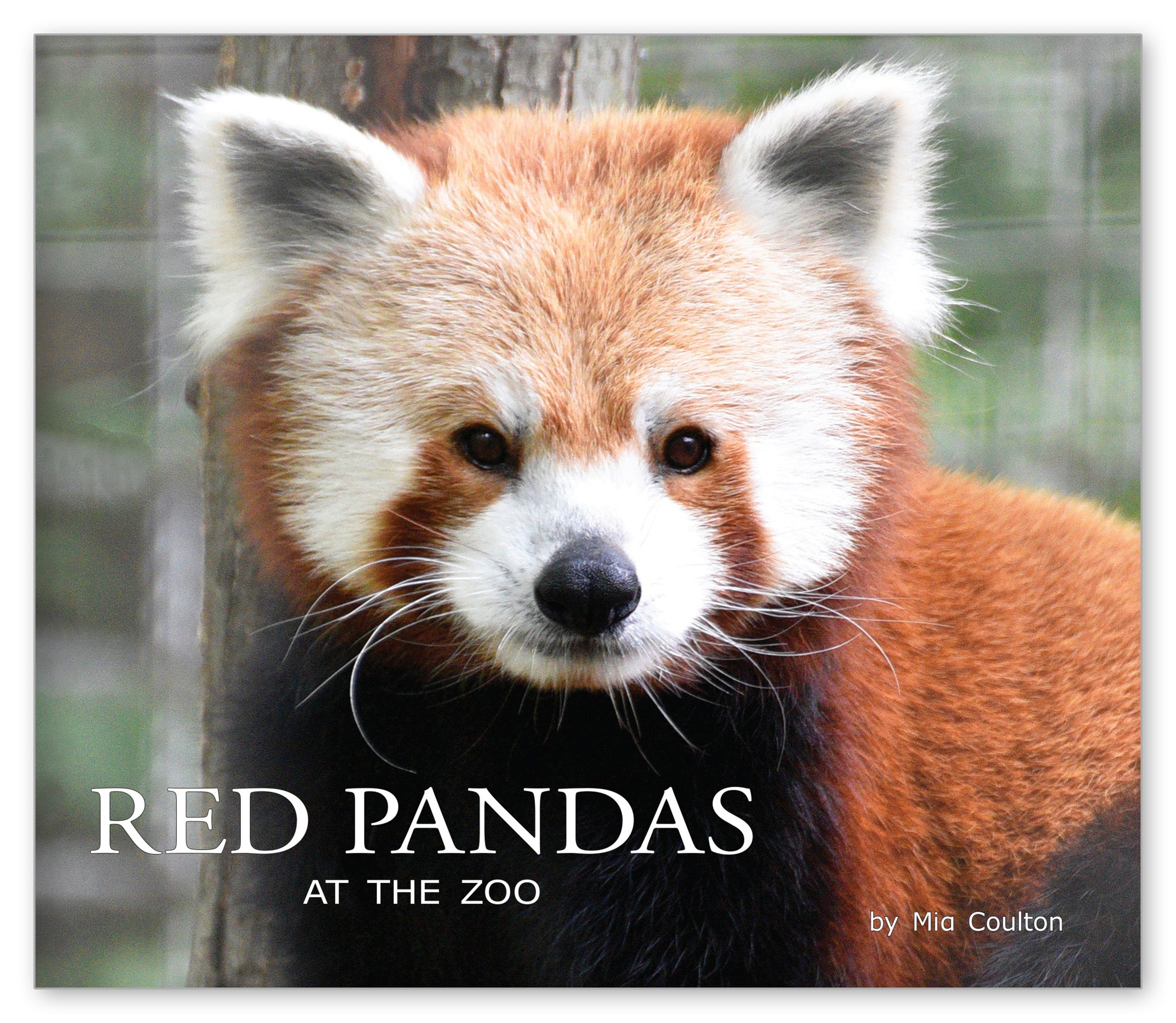 Red Pandas at the Zoo from At the Zoo