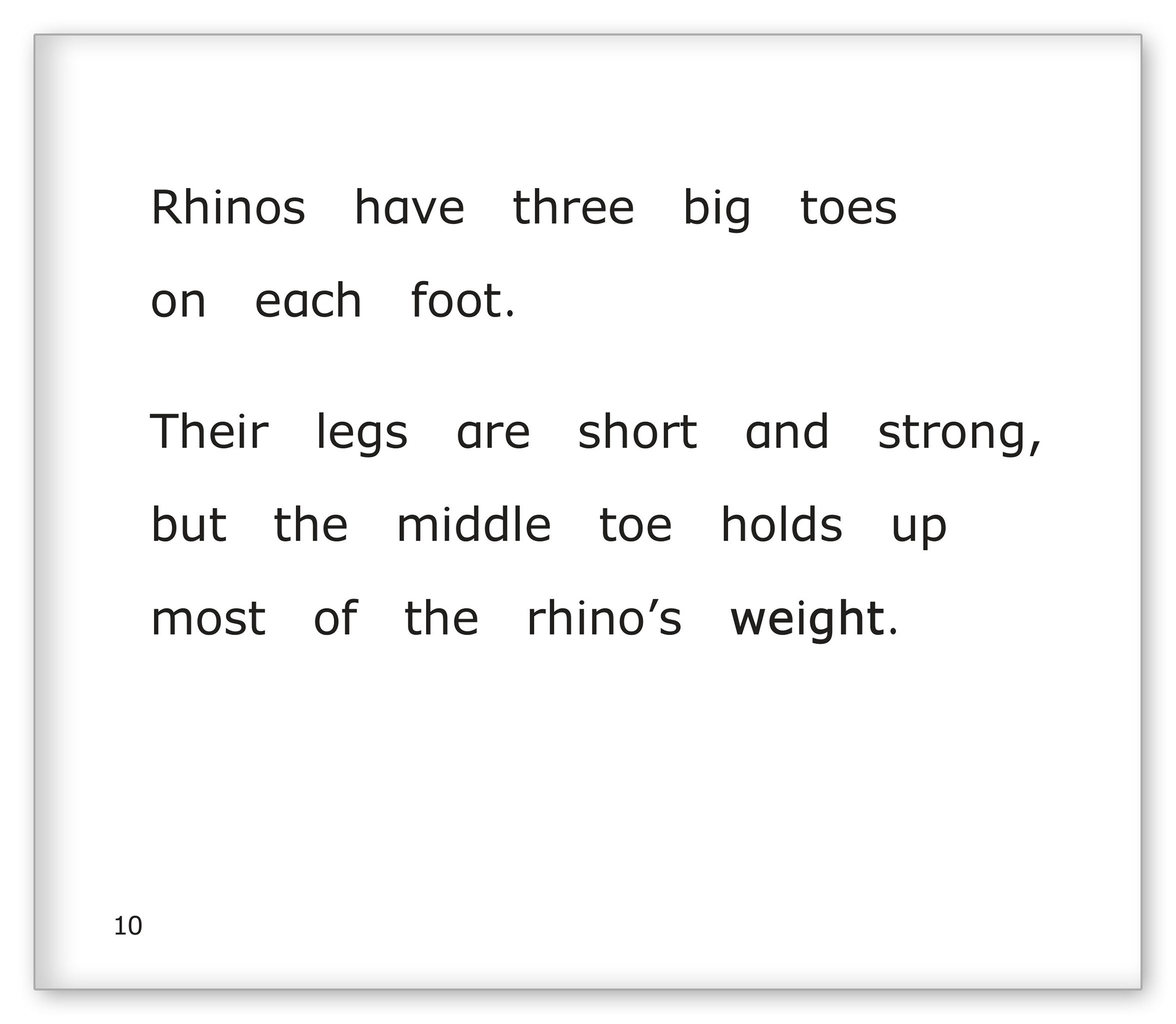 Rhinoceroses at the Zoo