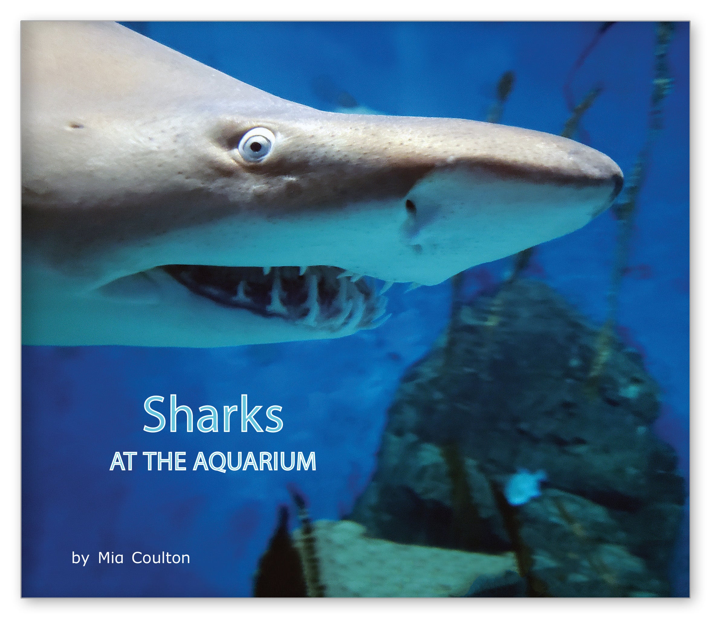 Sharks at the Aquarium from At the Aquarium