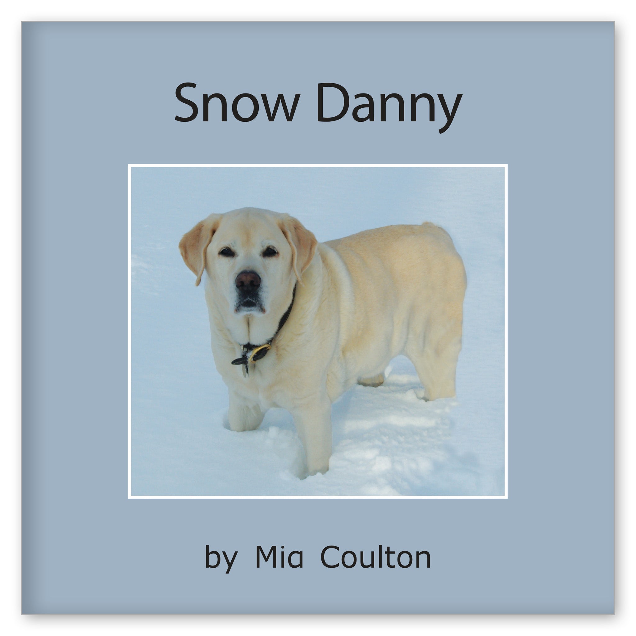 Snow Danny from Danny Days