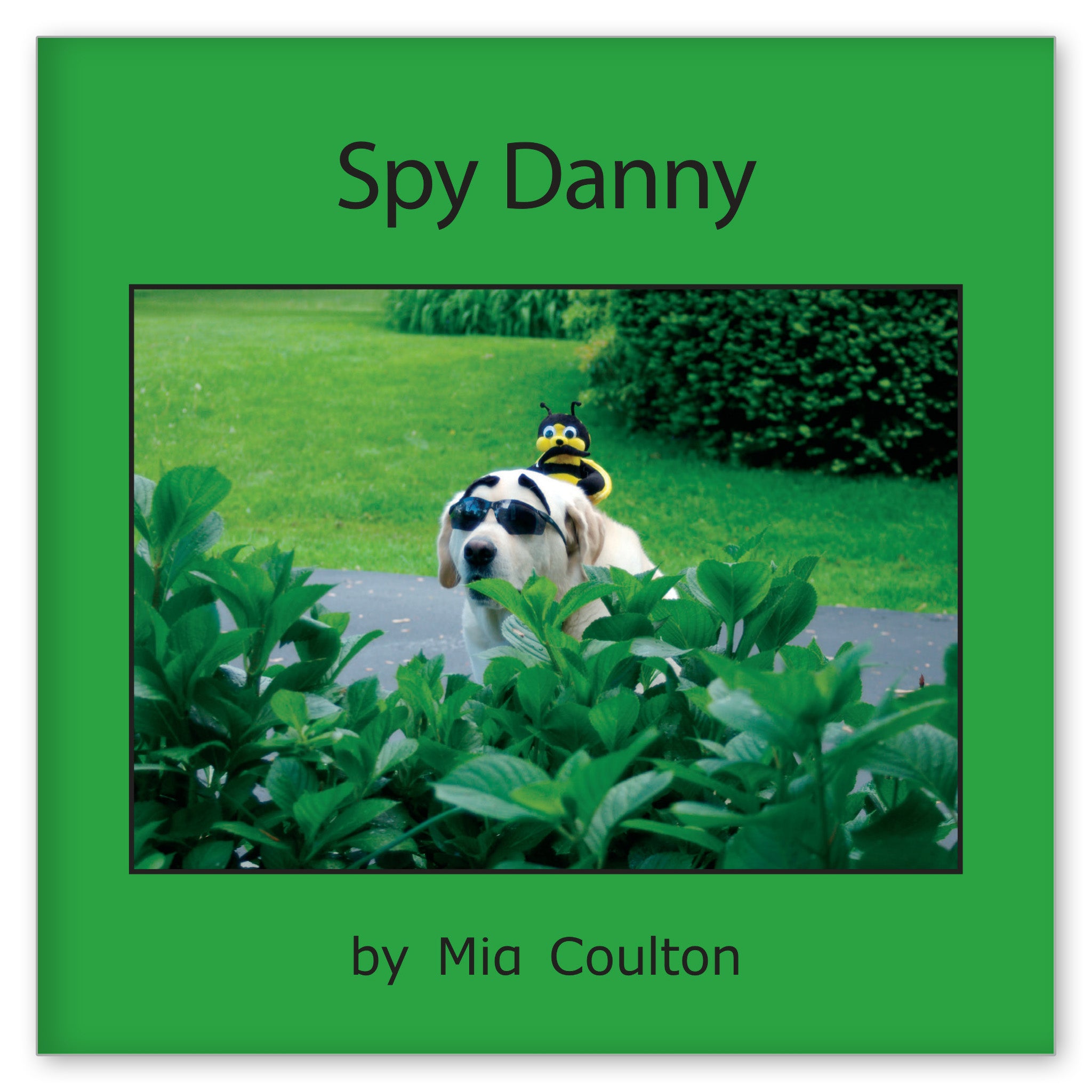 Spy Danny from Danny! Danny! Danny!