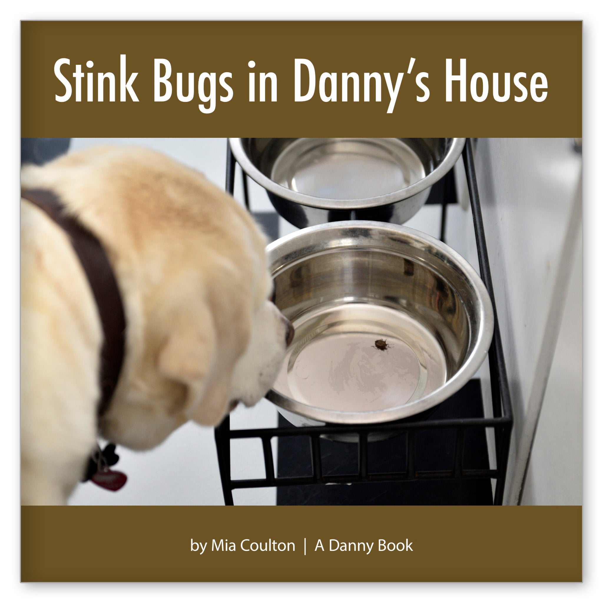 Stink Bugs in Danny's House from I Dream of Danny