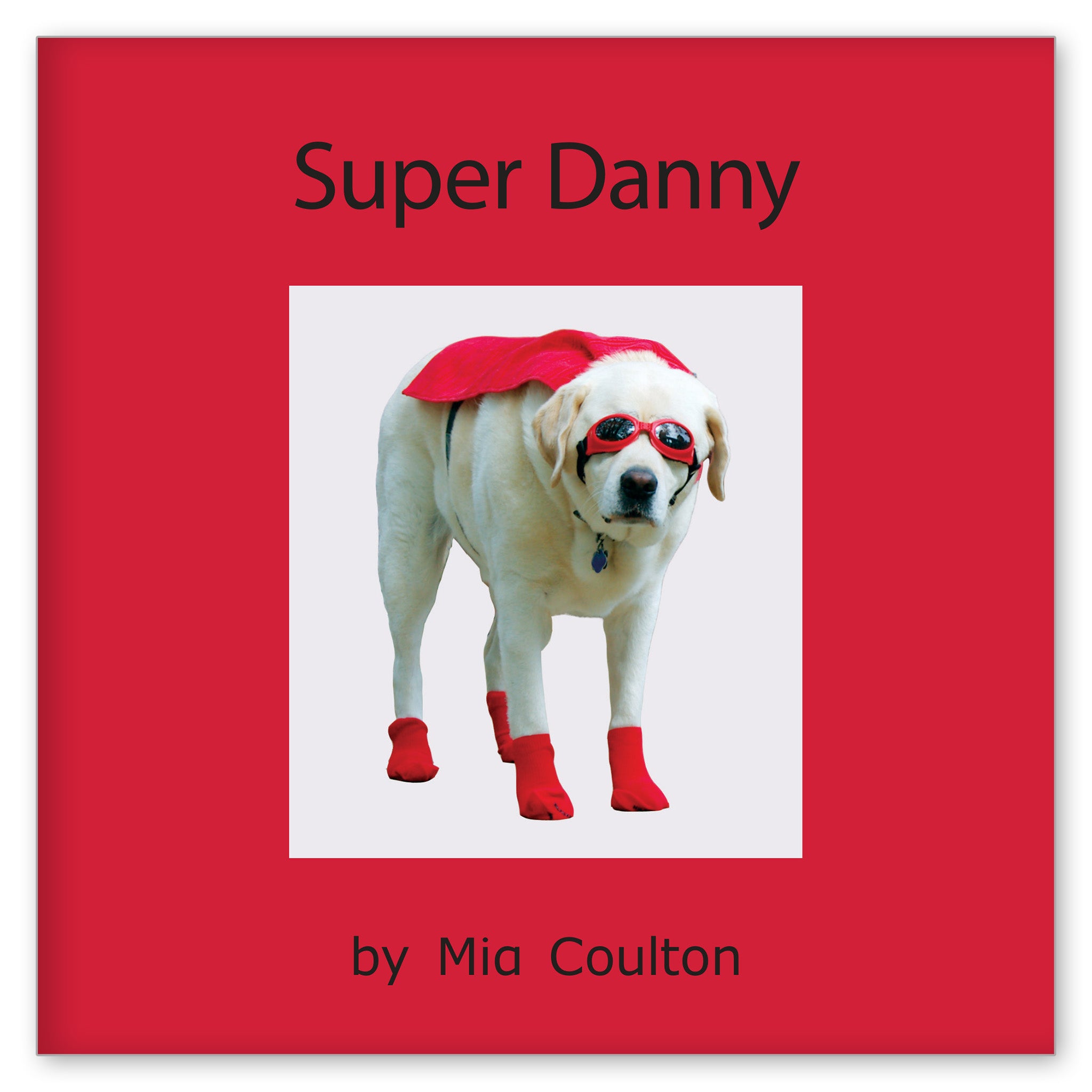 Super Danny from Danny Returns