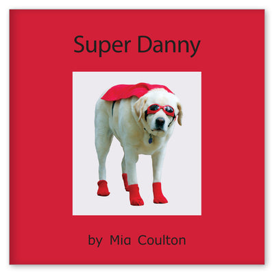 Super Danny book cover