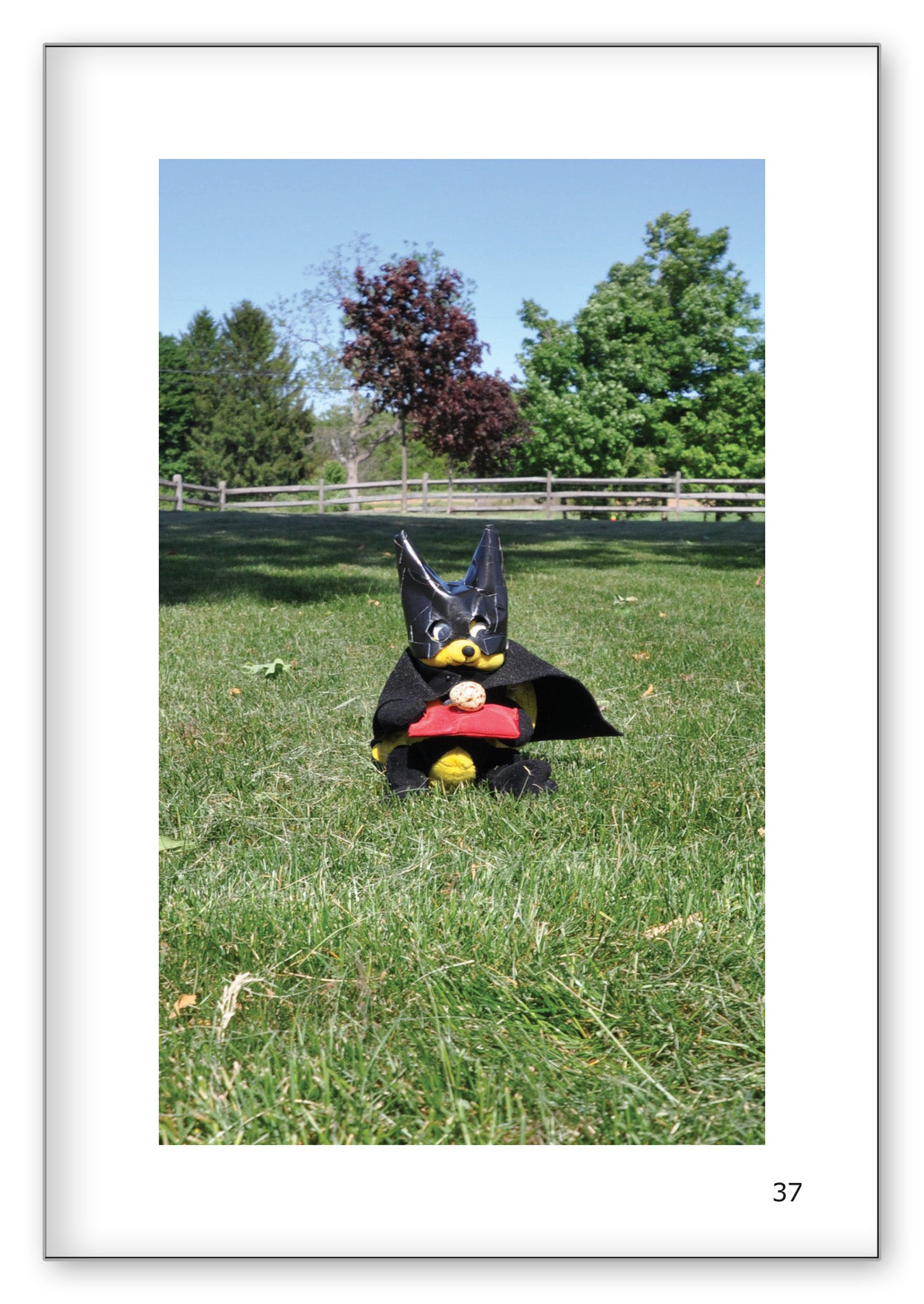 The Adventures of Super Danny and Bat-Bee