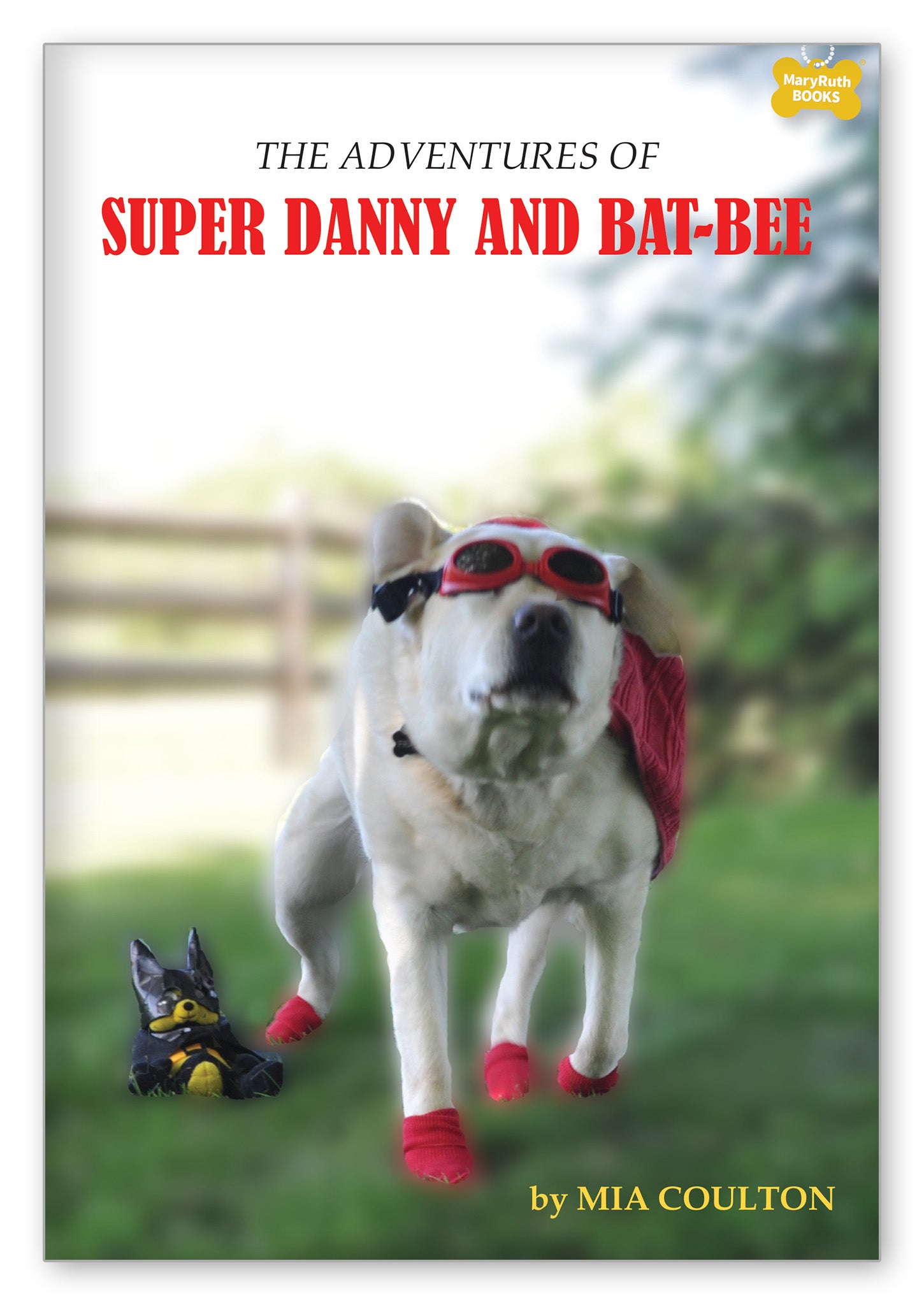 The Adventures of Super Danny and Bat-Bee from Danny's Big Adventure Chapter Books