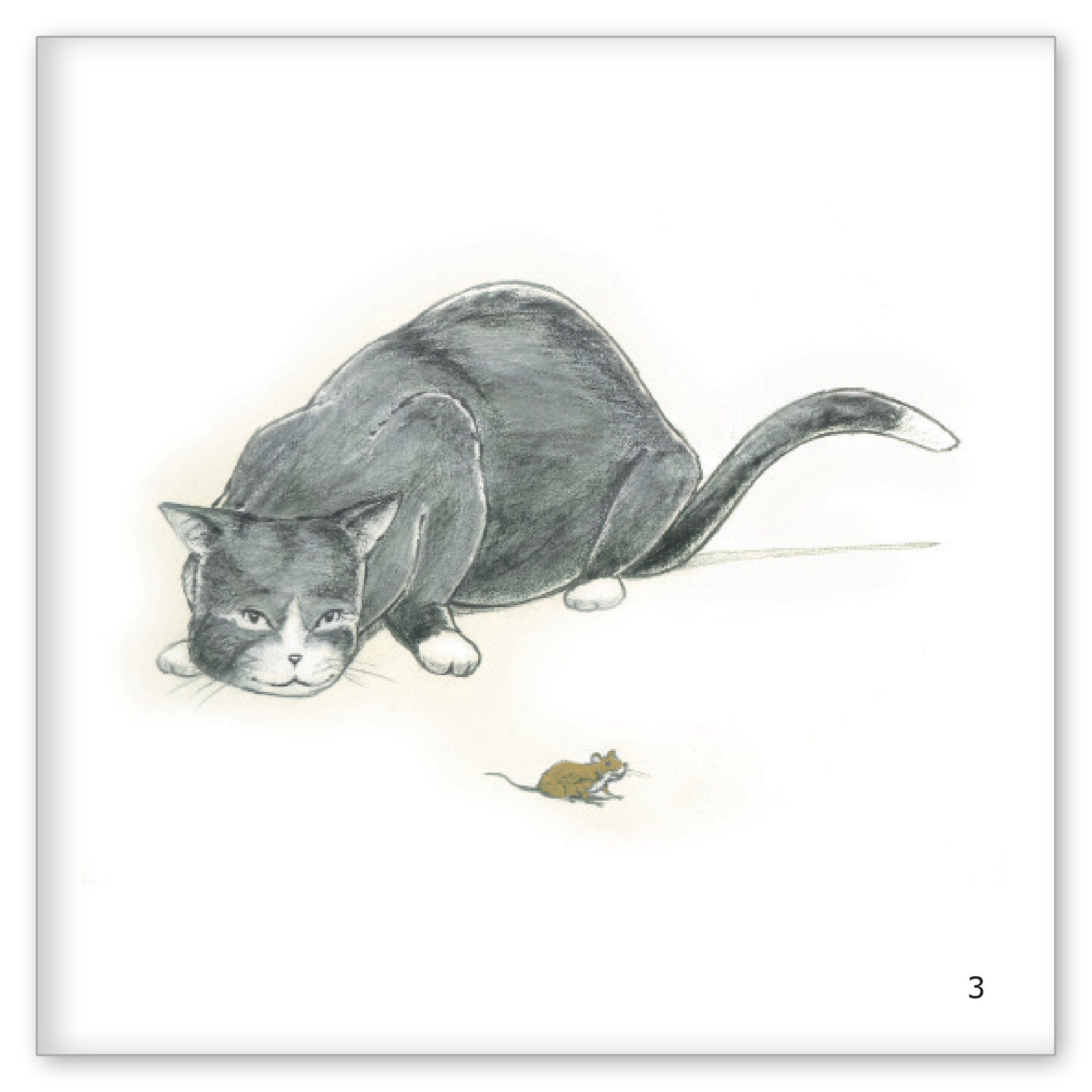 The Cat Wants to Play