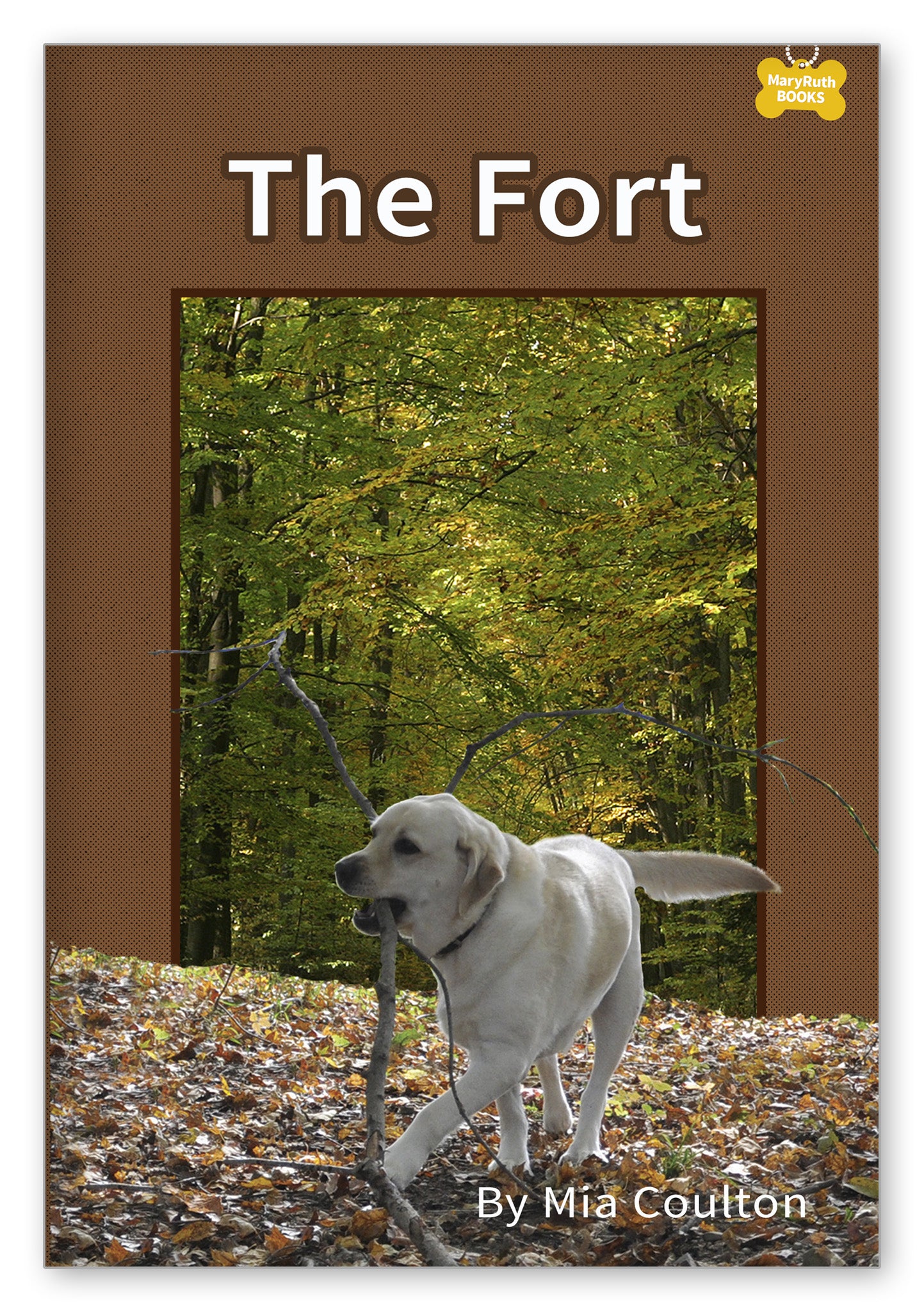 The Fort from Danny's Big Adventure Chapter Books