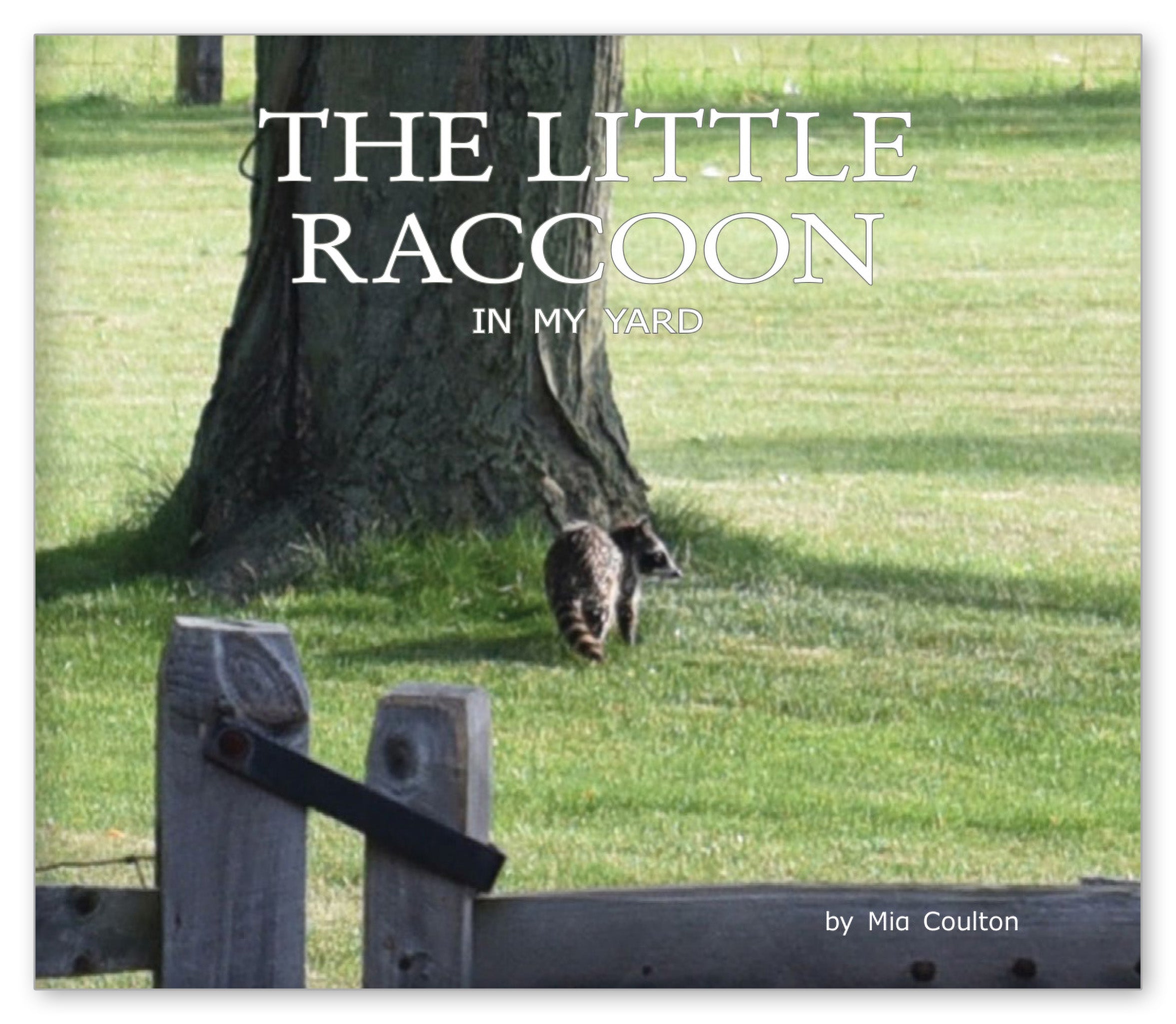 The Little Raccoon in My Yard from In My Yard