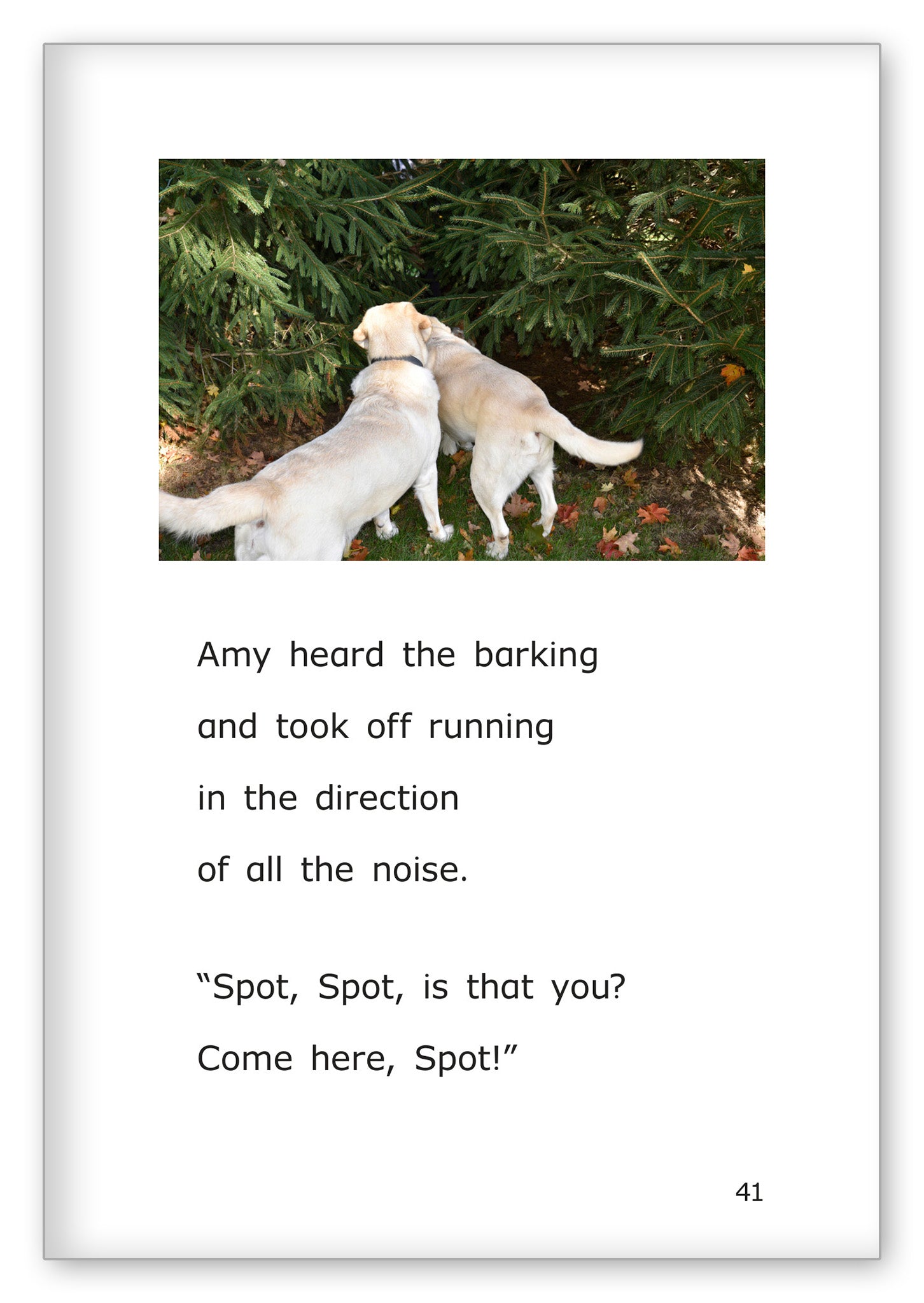 The Lost Dog
