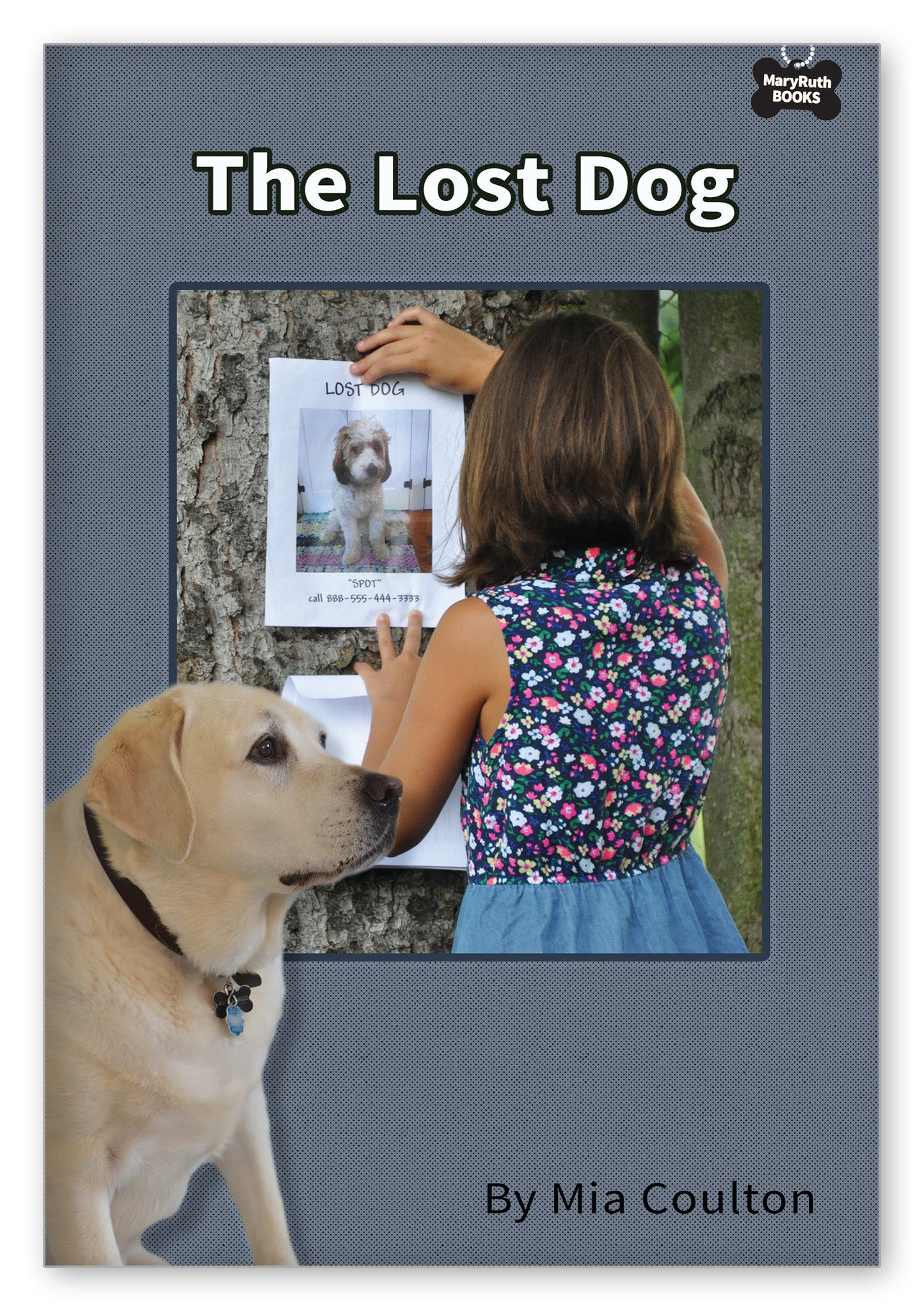 The Lost Dog from Danny's Big Adventure Chapter Books