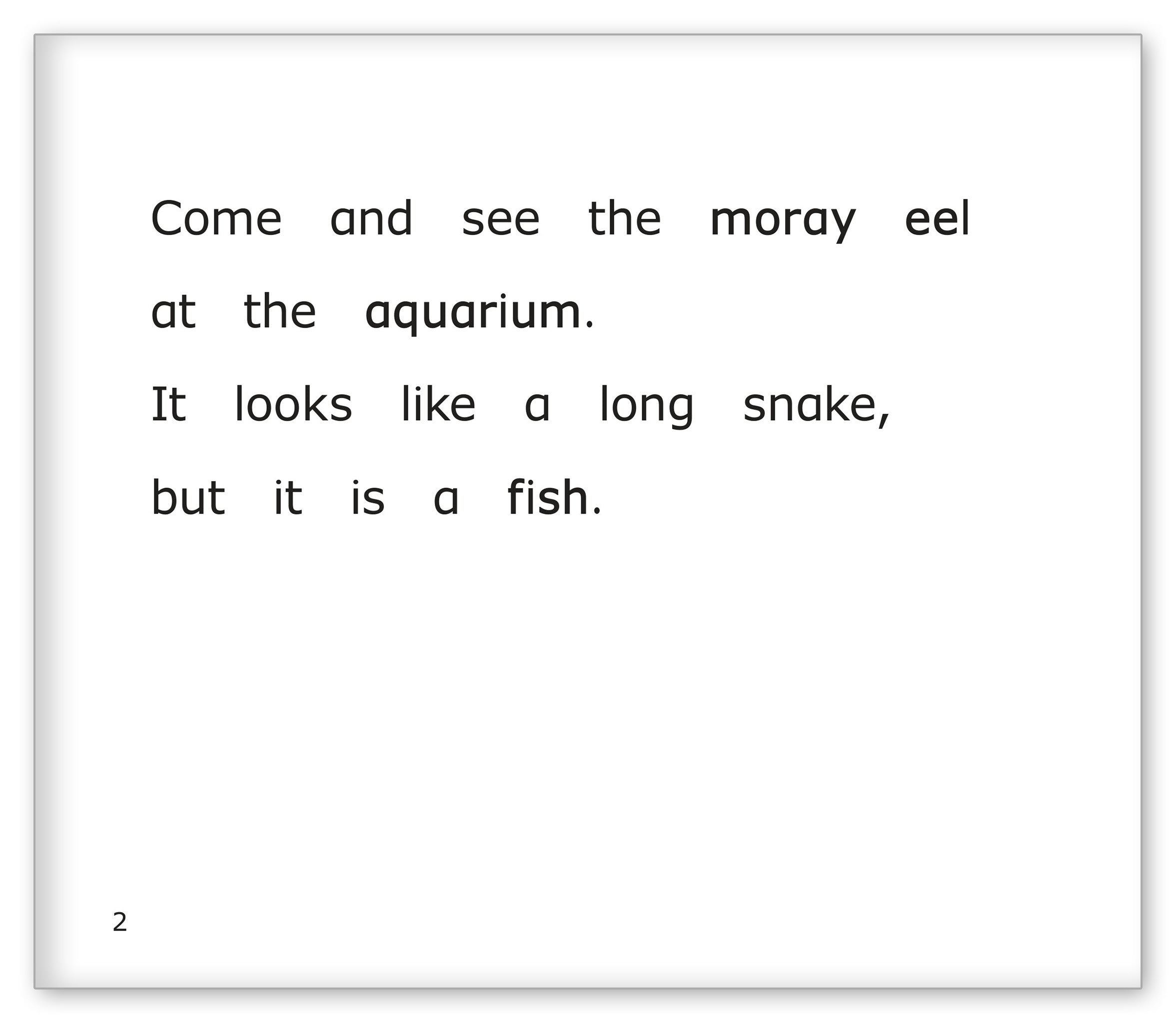 The Moray Eel at the Aquarium