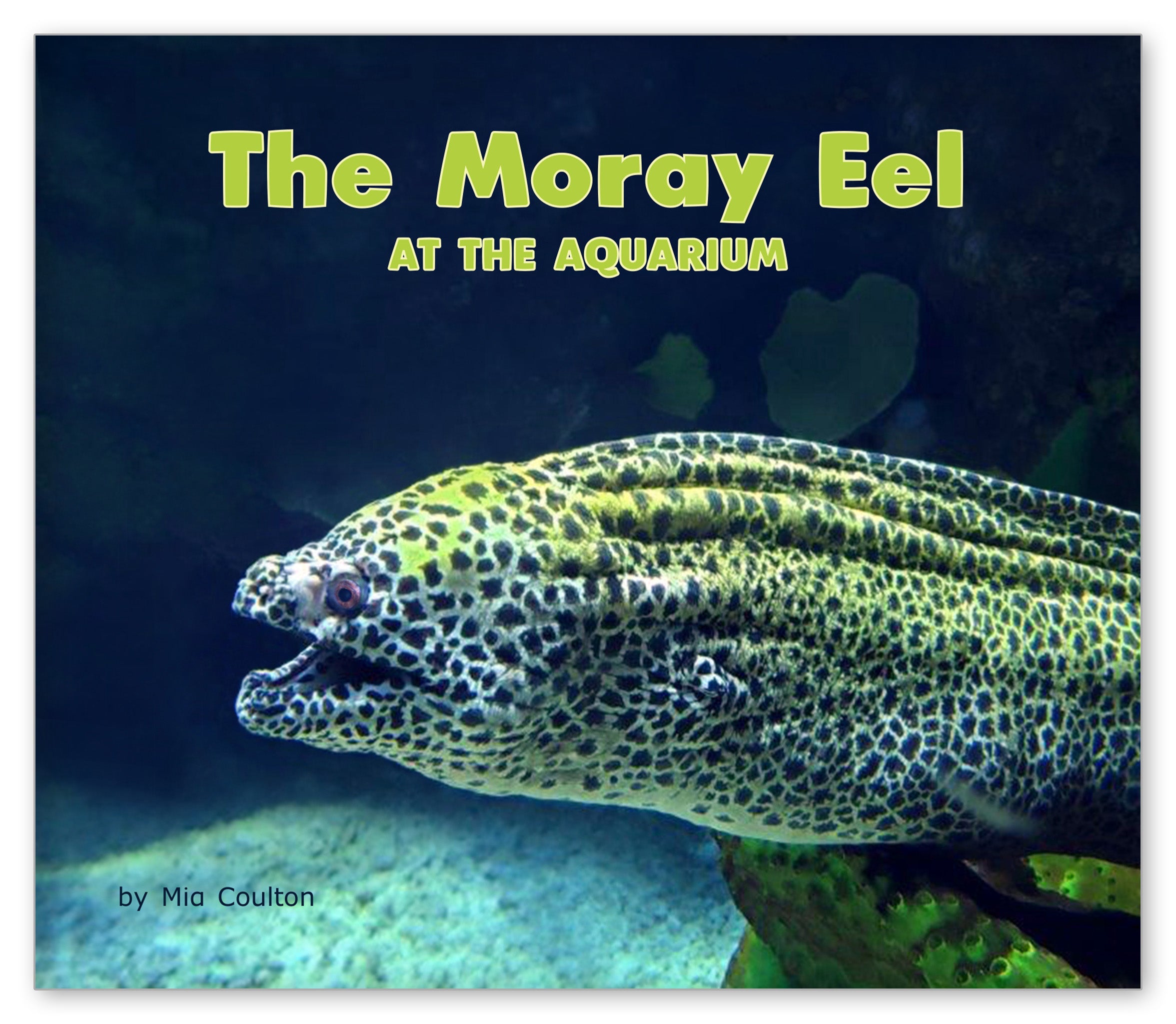 The Moray Eel at the Aquarium from At the Aquarium