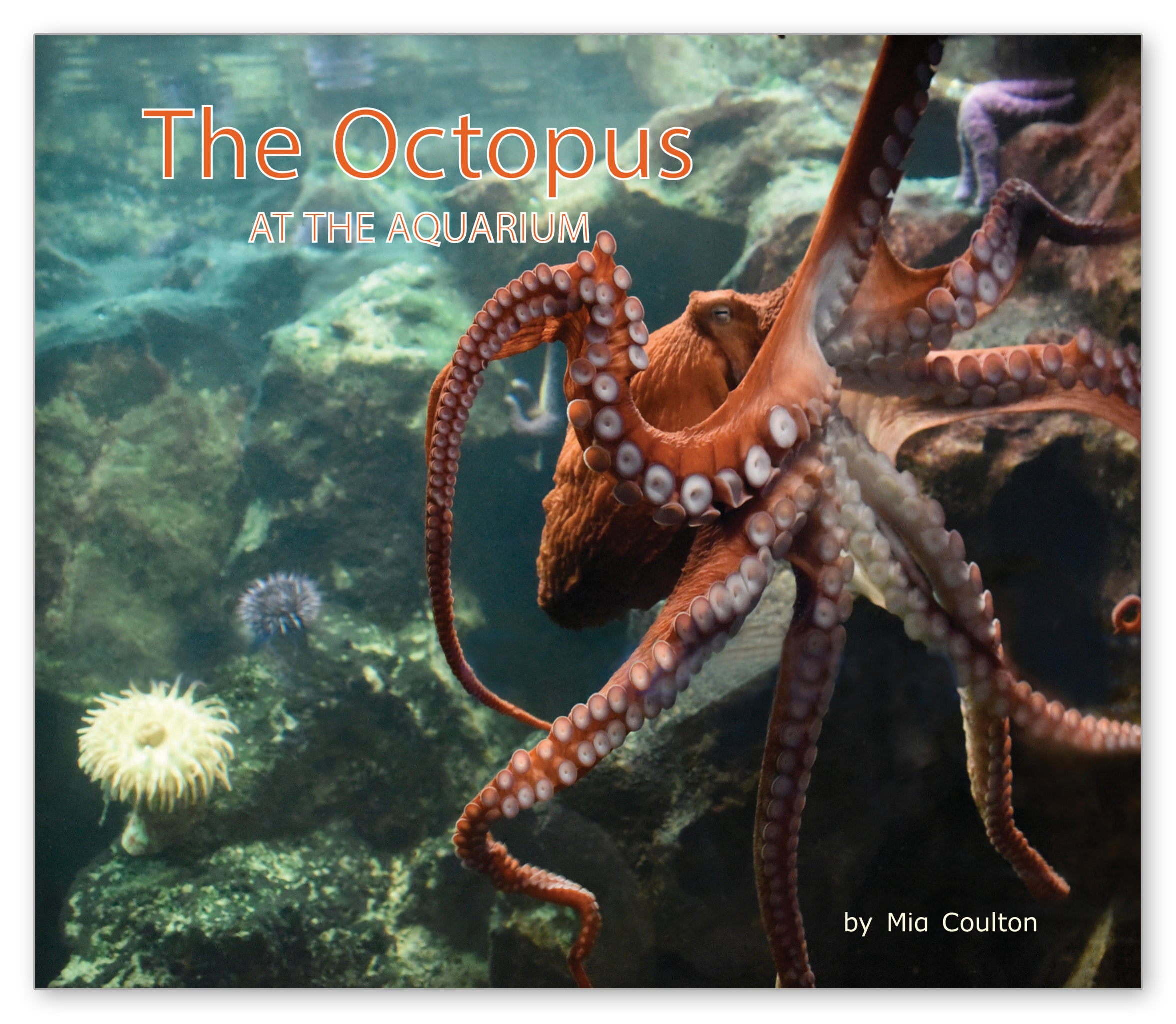 The Octopus at the Aquarium from At the Aquarium