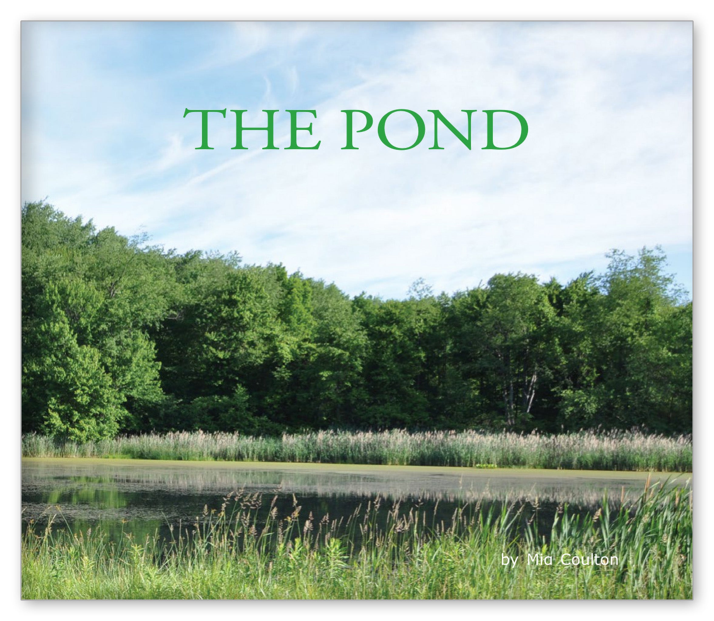 The Pond from Let's Explore
