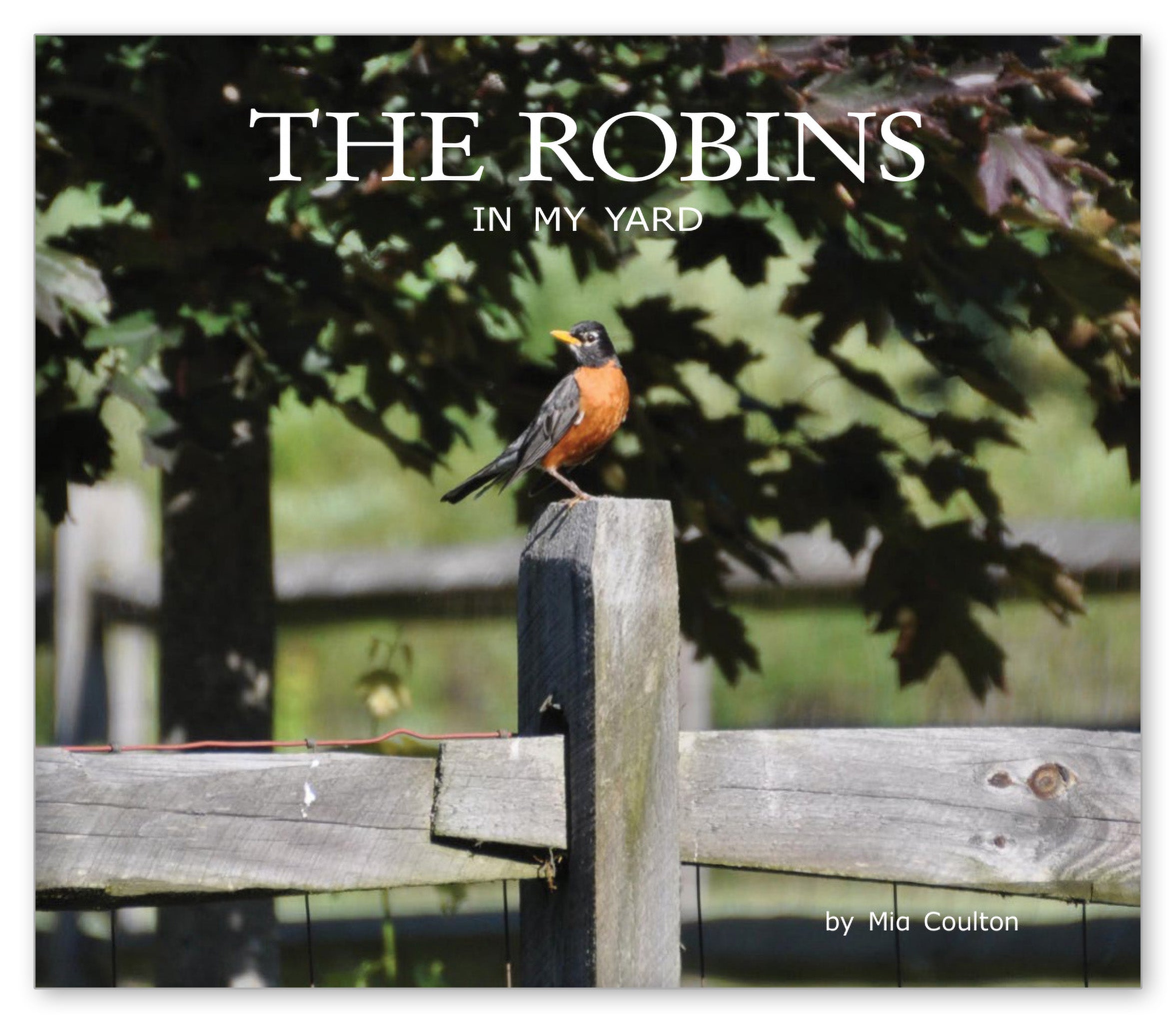 The Robins in My Yard from In My Yard
