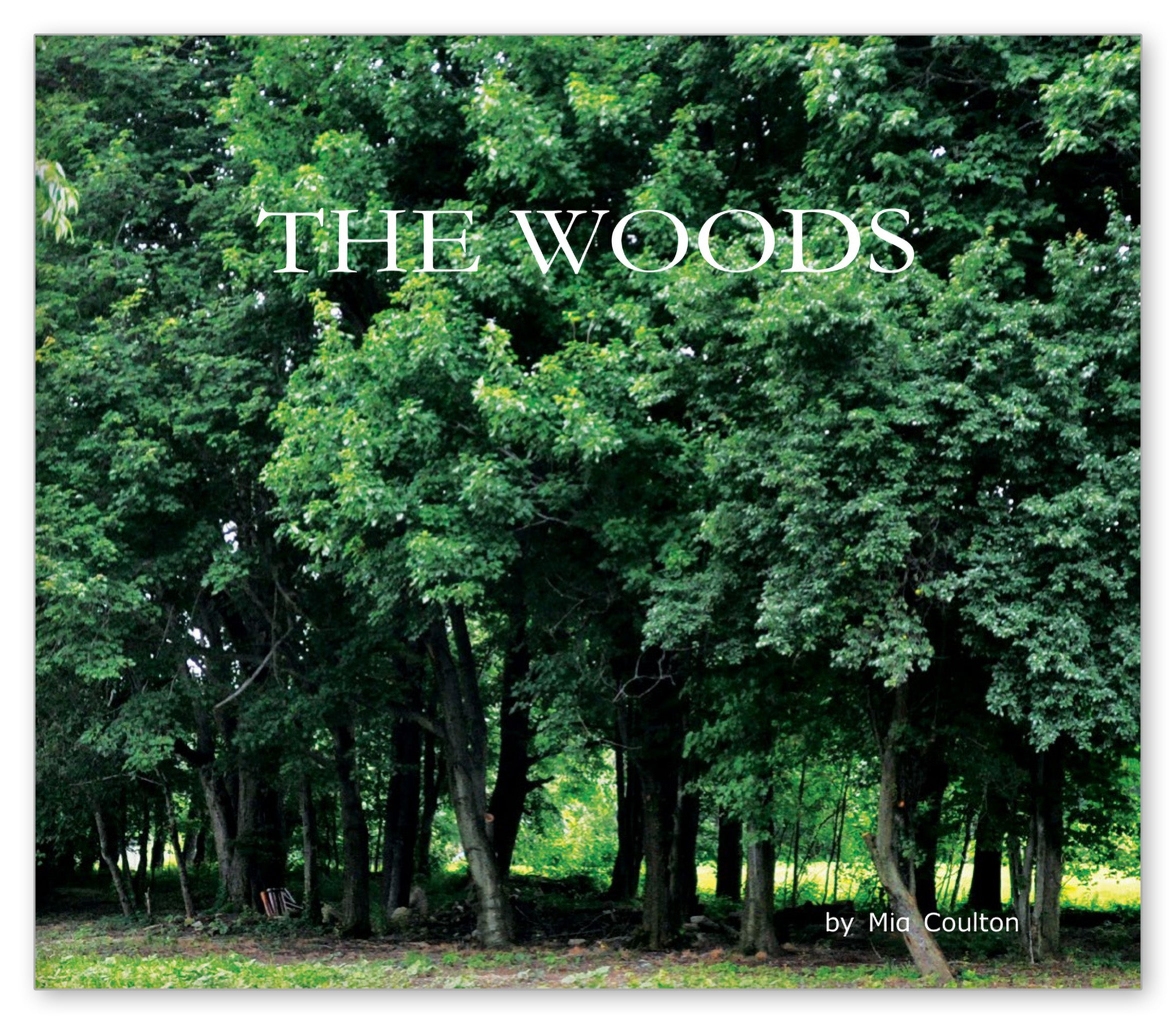 The Woods from Let's Explore
