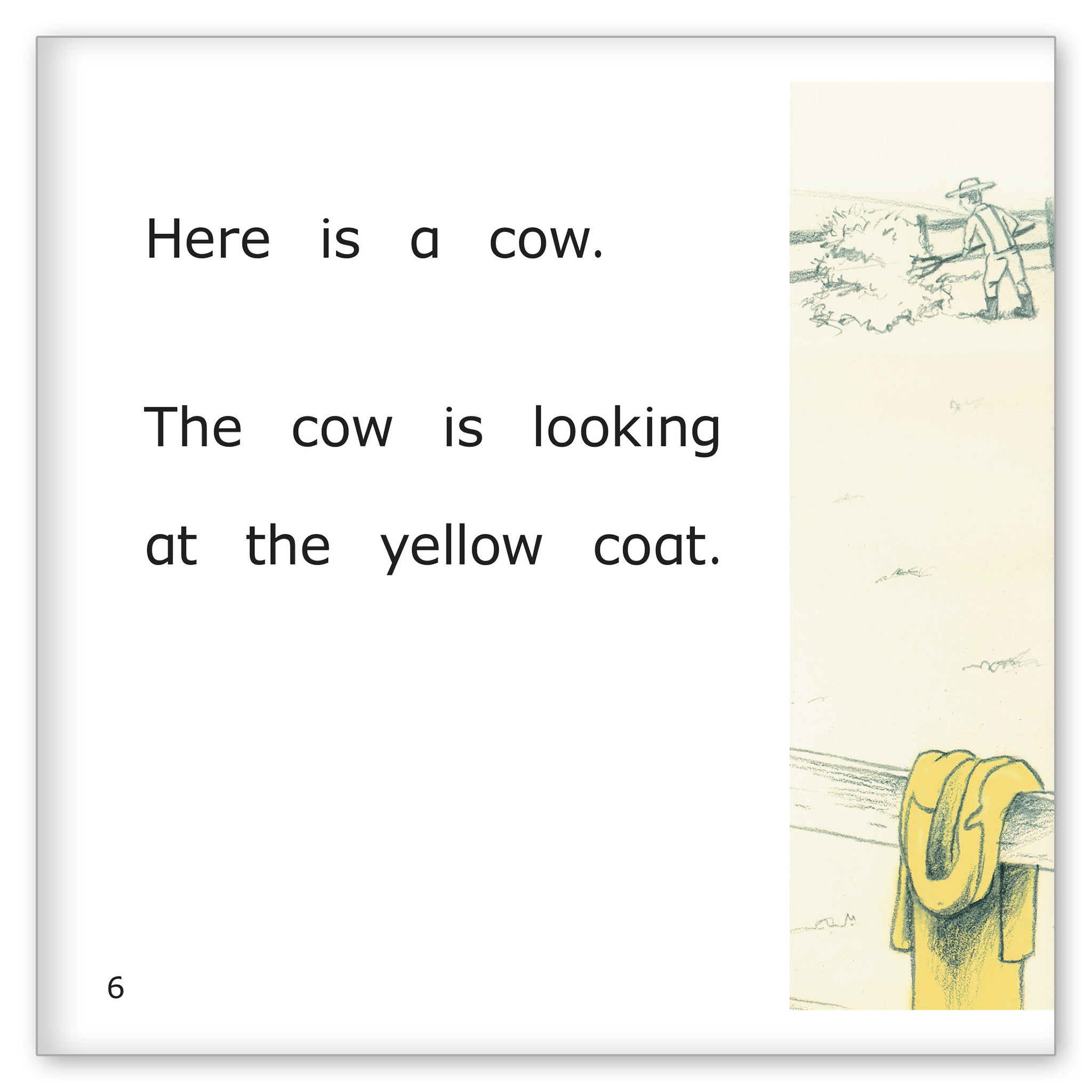 The Yellow Coat