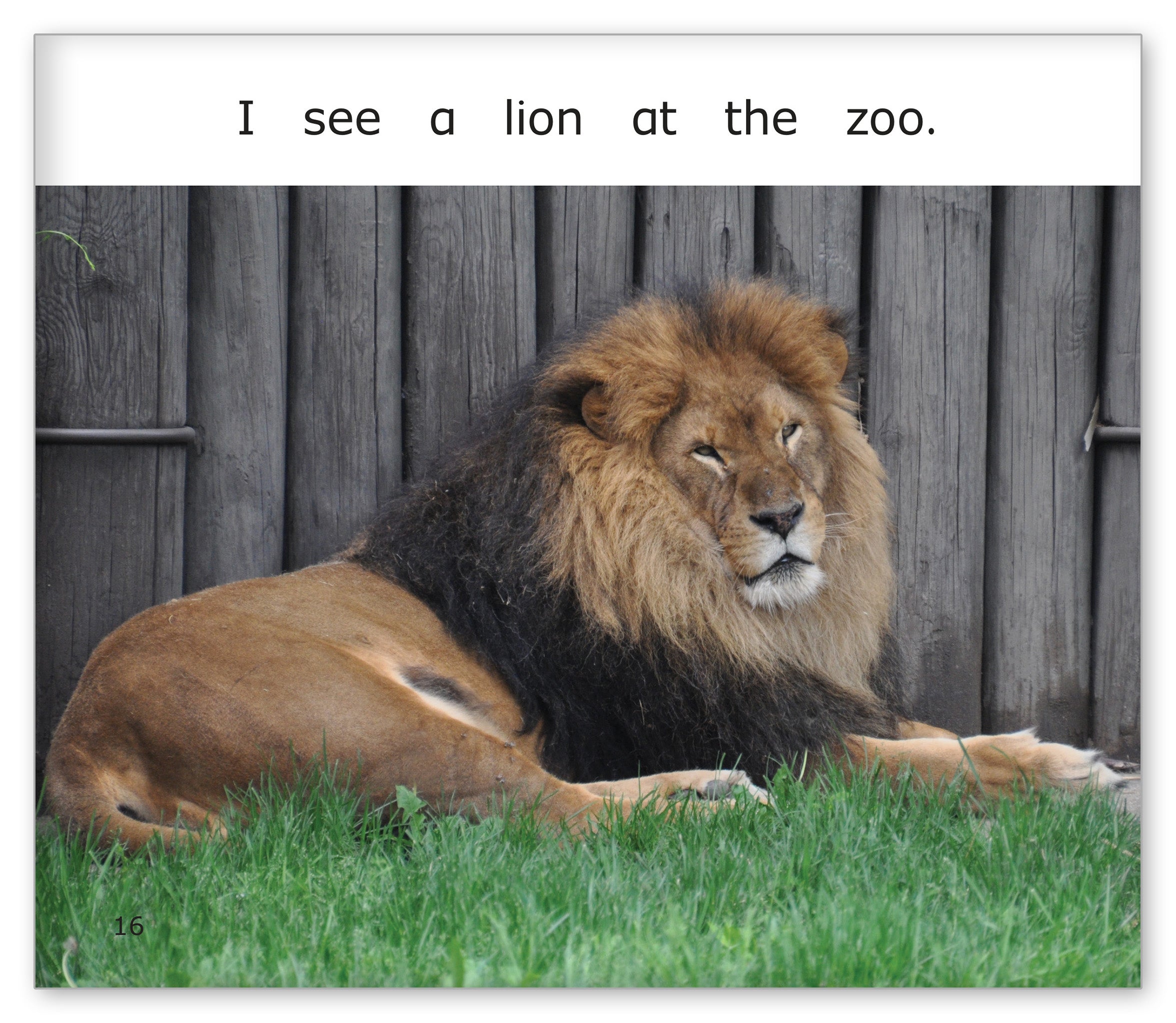 The Zoo