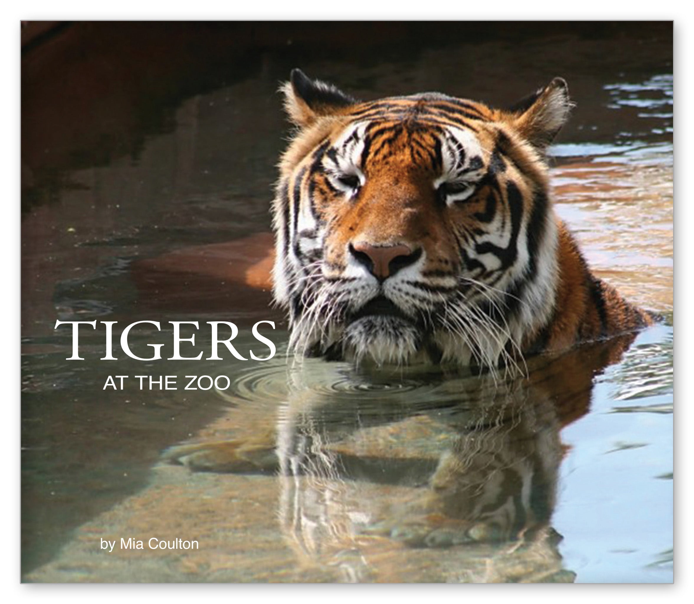 Tigers at the Zoo from At the Zoo