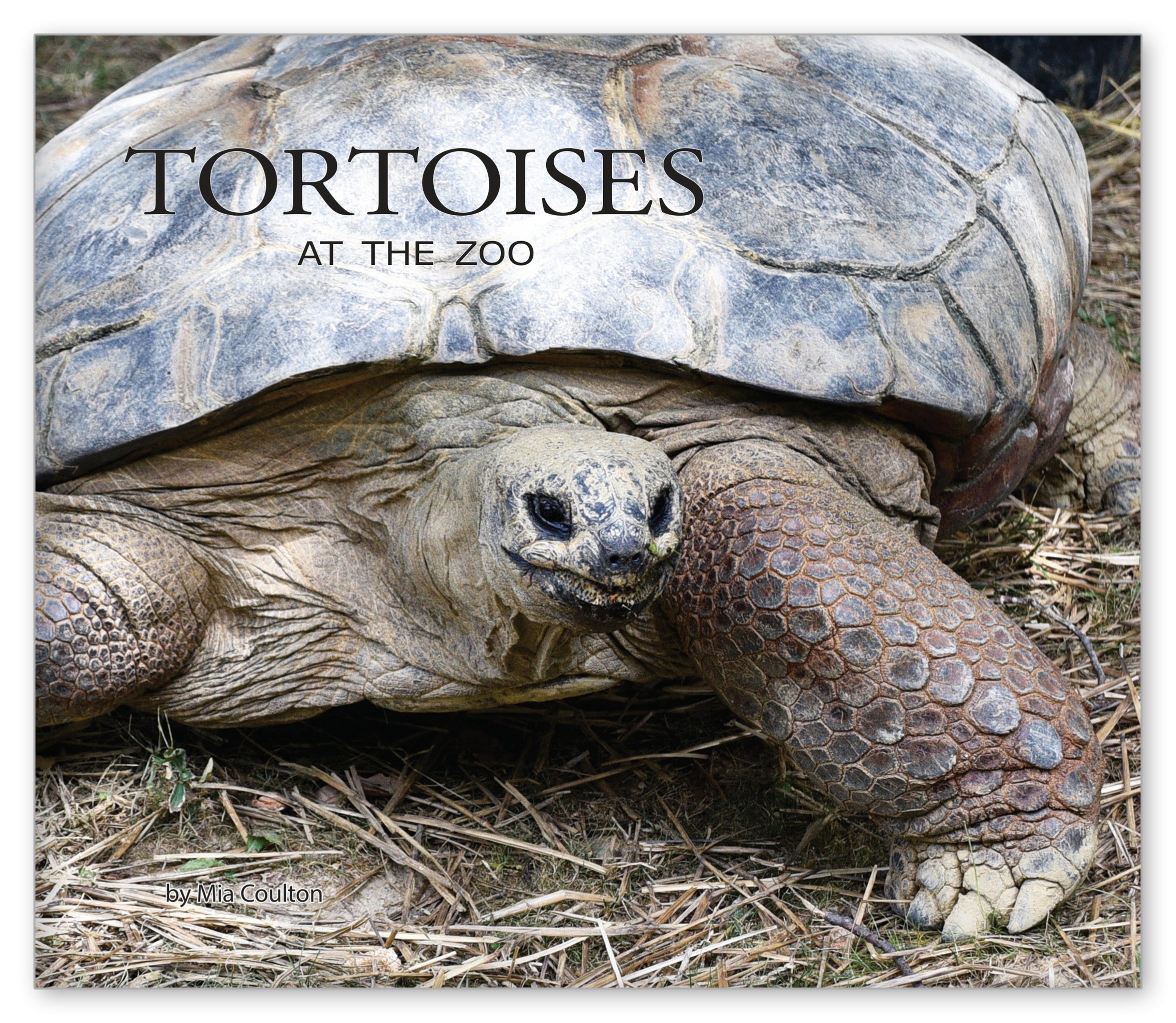 Tortoises at the Zoo from At the Zoo