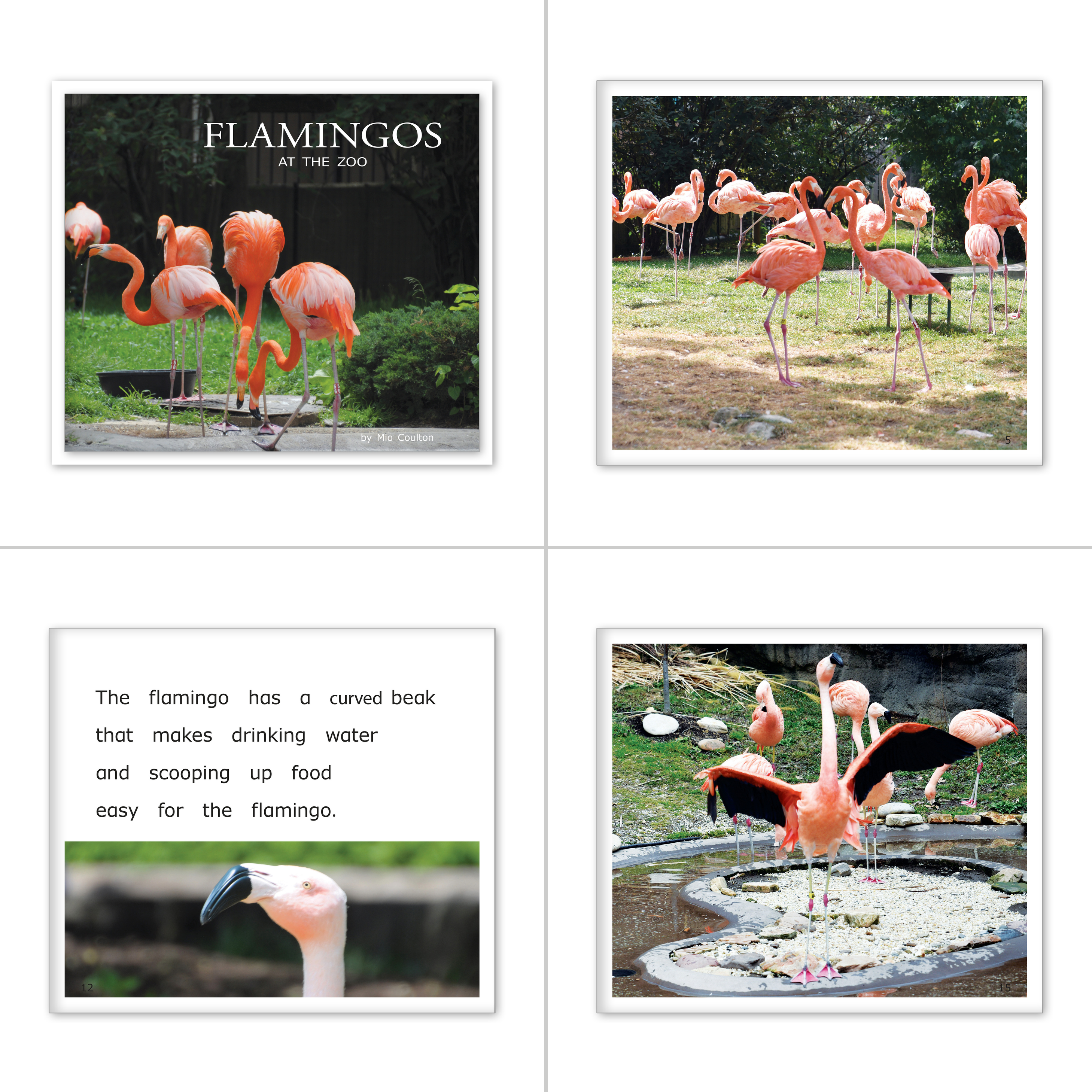 Transitional Accelerated Reader Set
