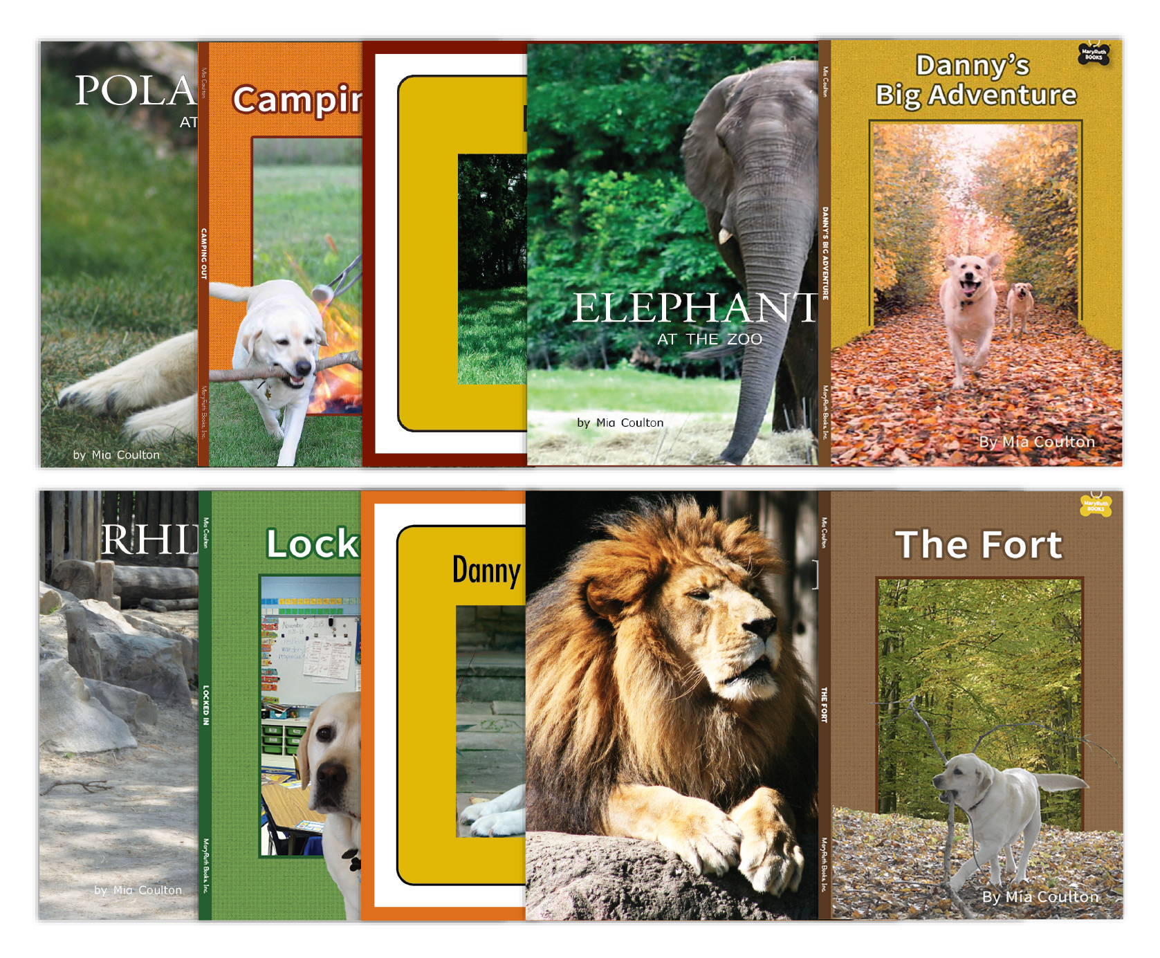 Transitional Accelerated Reader Set from Various Series