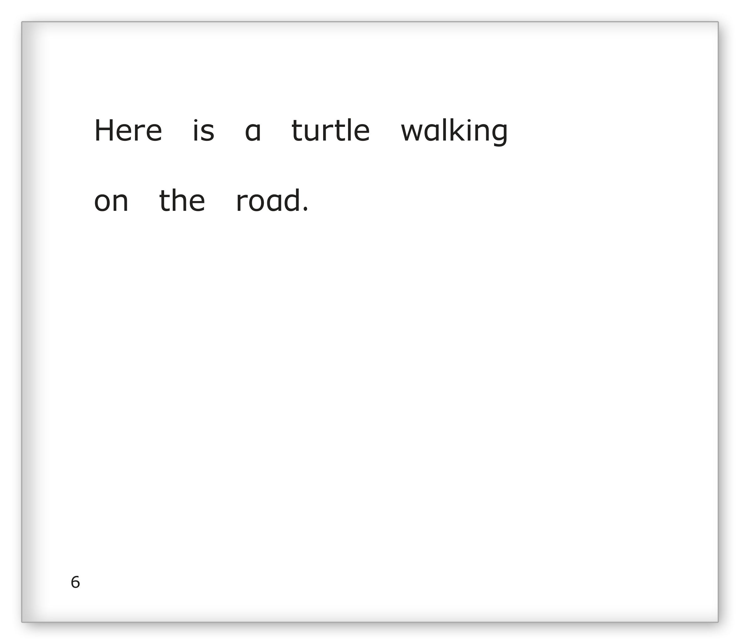 Turtles Around the Pond