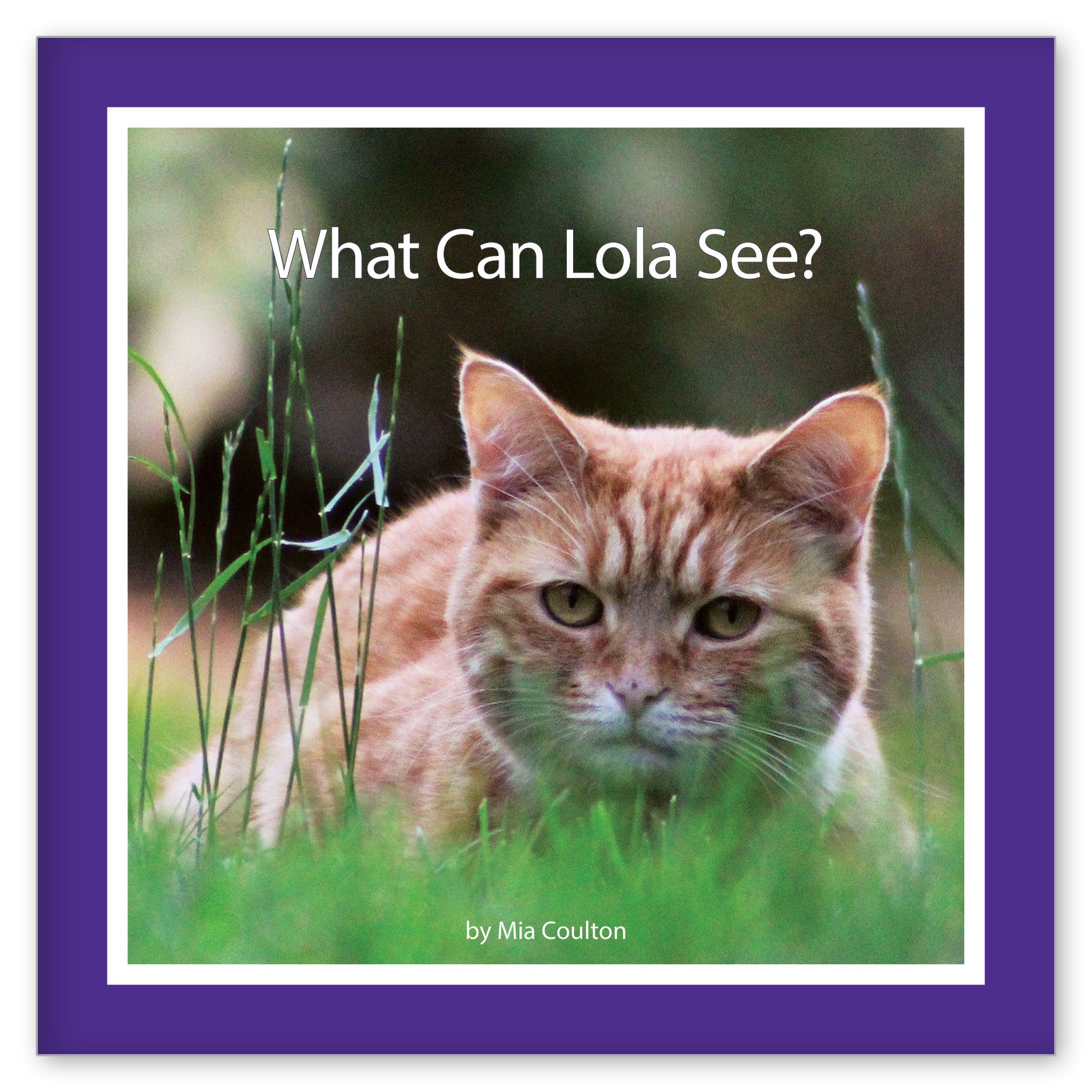 What Can Lola See? from Her Name is Lola