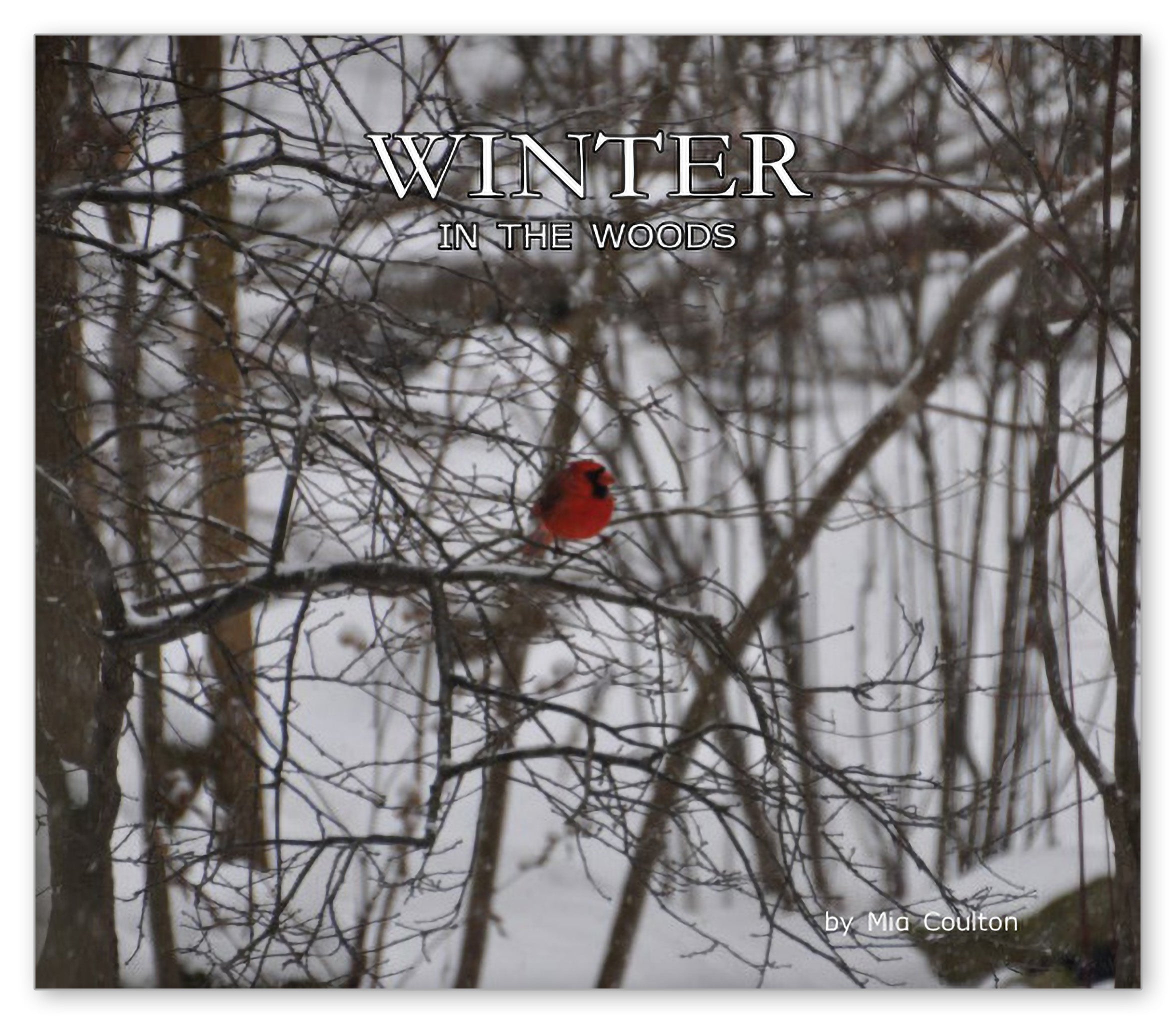 Winter in the Woods from In the Woods with Danny and Bee