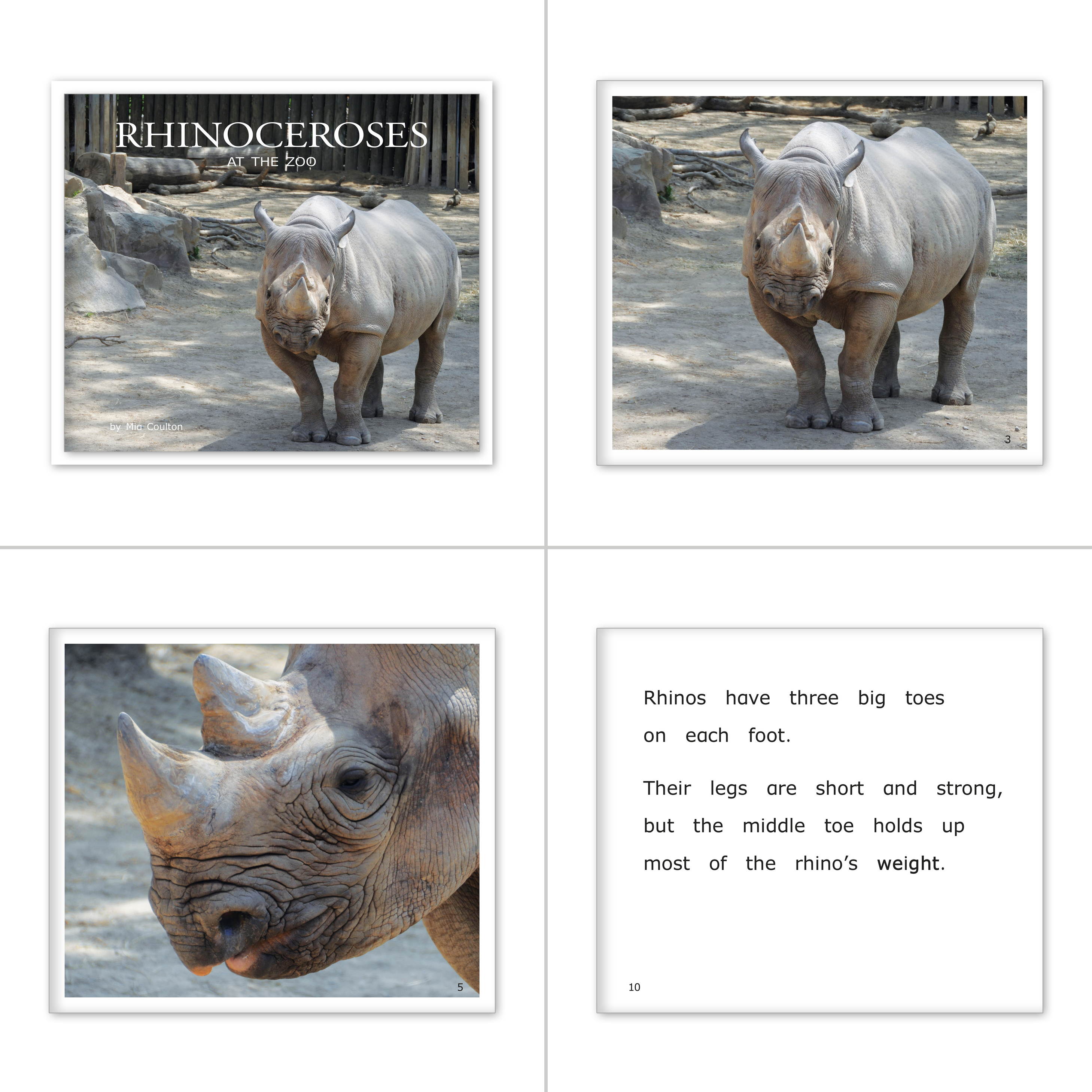 Zoo Collection