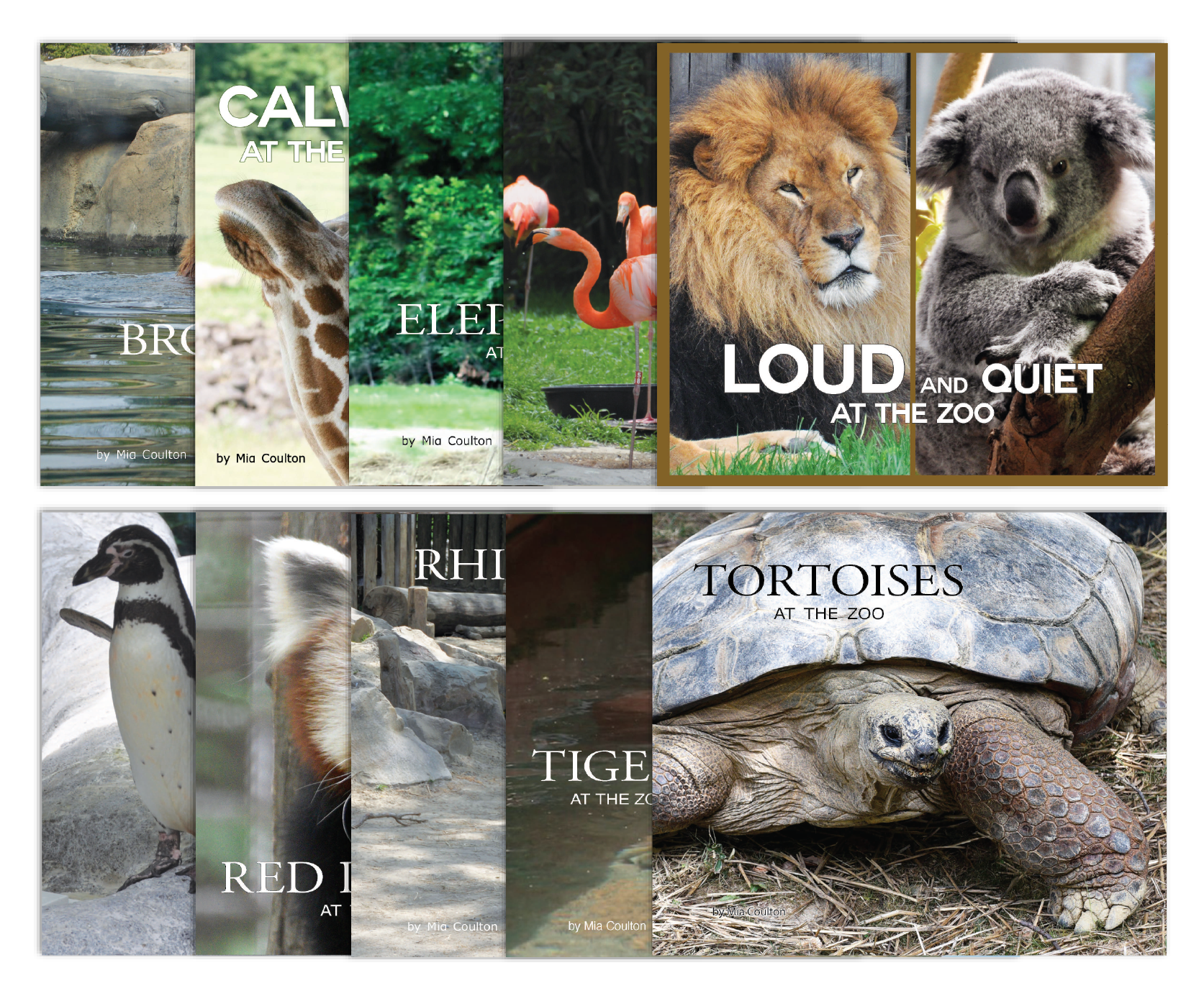 Zoo Collection from At the Zoo
